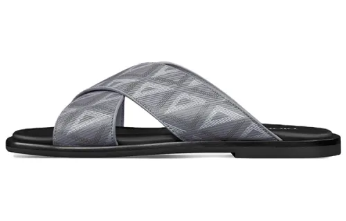 DIOR Alias Slide Slippers Men's Gray