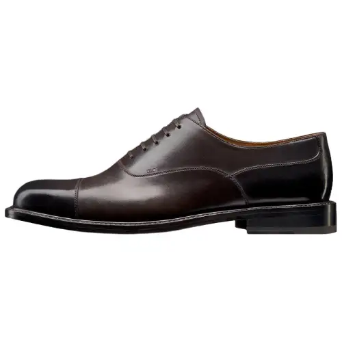 DIOR Embassy Cow Leather Dress Shoes Men's Brown