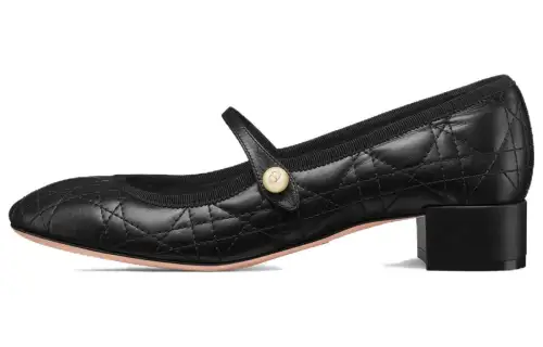 DIOR Leather Chunky Heel Mary Jane Shoes Women's Black