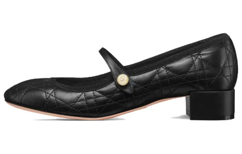 DIOR Leather Chunky Heel Mary Jane Shoes Women's Black