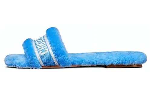 DIOR Chez Moi Quick Dry Slide Slippers Women's Blue