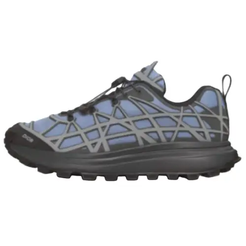 DIOR B31 Mesh Low top Casual Shoes Men's Blue