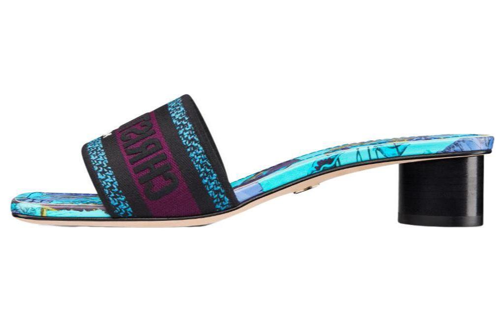 DIOR Dway Slide Slippers Women's Black Blue