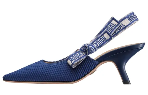 DIOR J'Adior Cotton Fabric Embroidery Slim Heel High Heels Women's Royal Blue