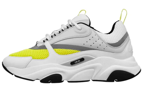DIOR B22 White Yellow
