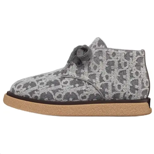 DIOR Sahara Ankle Boots Men's Gray