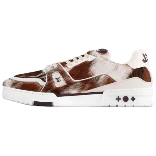 LOUIS VUITTON Trainer Low top Skateboard Shoes Men's Brown