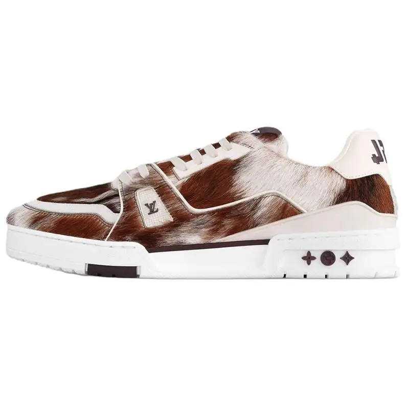 LOUIS VUITTON Trainer Low top Skateboard Shoes Men's Brown