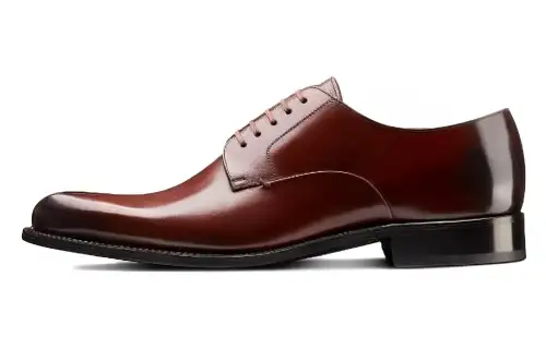 DIOR Timeless Abrasion Resistant Dress Shoes Men's Dark Brown