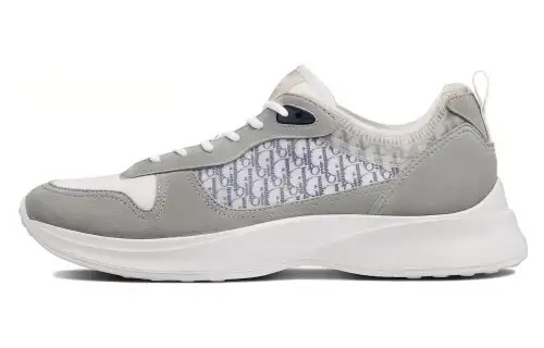 DIOR B25 Runner Grey