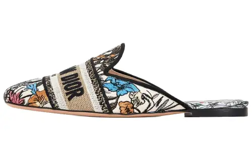 DIOR Off Embroidered Women's Casual Shoes Women's Multicolor