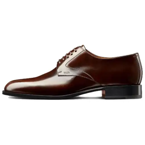 DIOR Timeless Top Grain Cow Leather Pointed Toe Dress Shoes Men's Dark Brown
