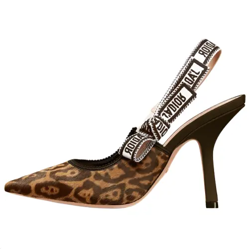 DIOR J'Adior Slim Heel High Heels 10cm Women's Brown