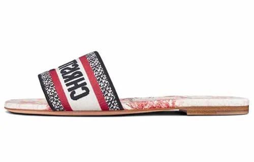 DIOR Dway Canvas Mules Women's