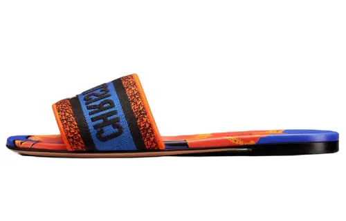 DIOR Dway Slide Slippers Women's Orange
