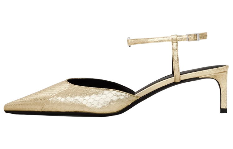 CELINE Triomphe Leather Pointed Toe Slim Heel Mary Jane Shoes Women's Platinum