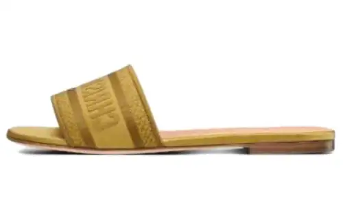 DIOR Dway Antibacterial Slide Slippers Women's Brown