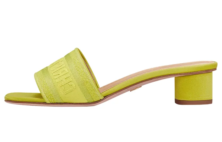 DIOR Dway Slide Slippers Women's Green Yellow