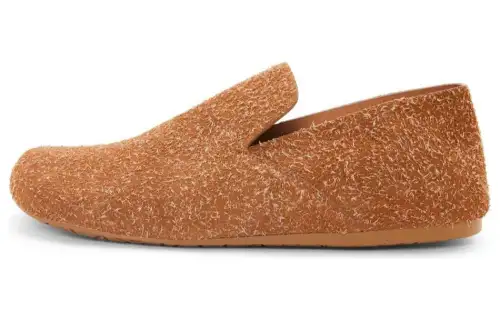 LOEWE Lago Men's Casual Shoes Men's Low Top Brown