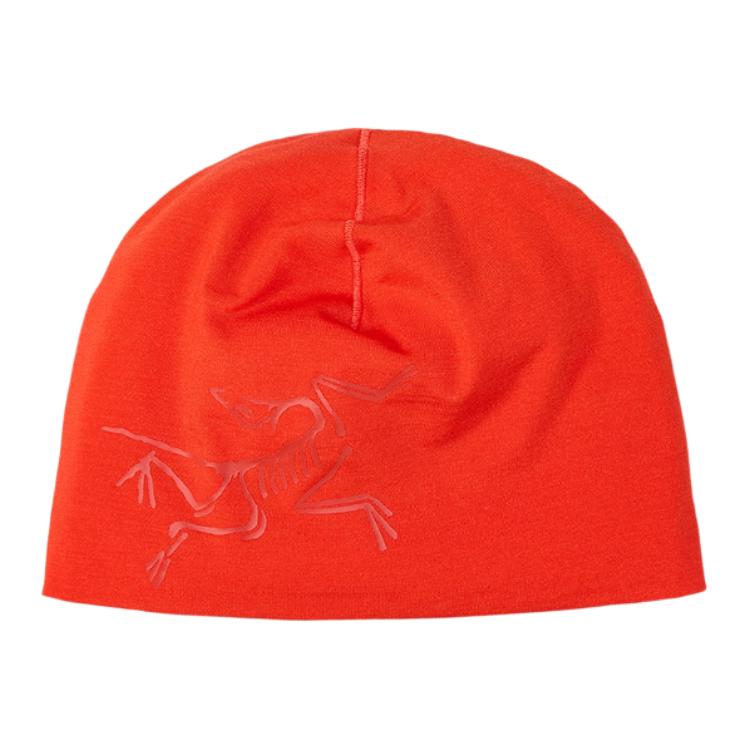 Шапка Arcteryx SATORO MERINO TOQUE (разноцветная)
