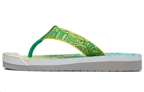 DIOR Shawn Stussy Flip Flops Men's