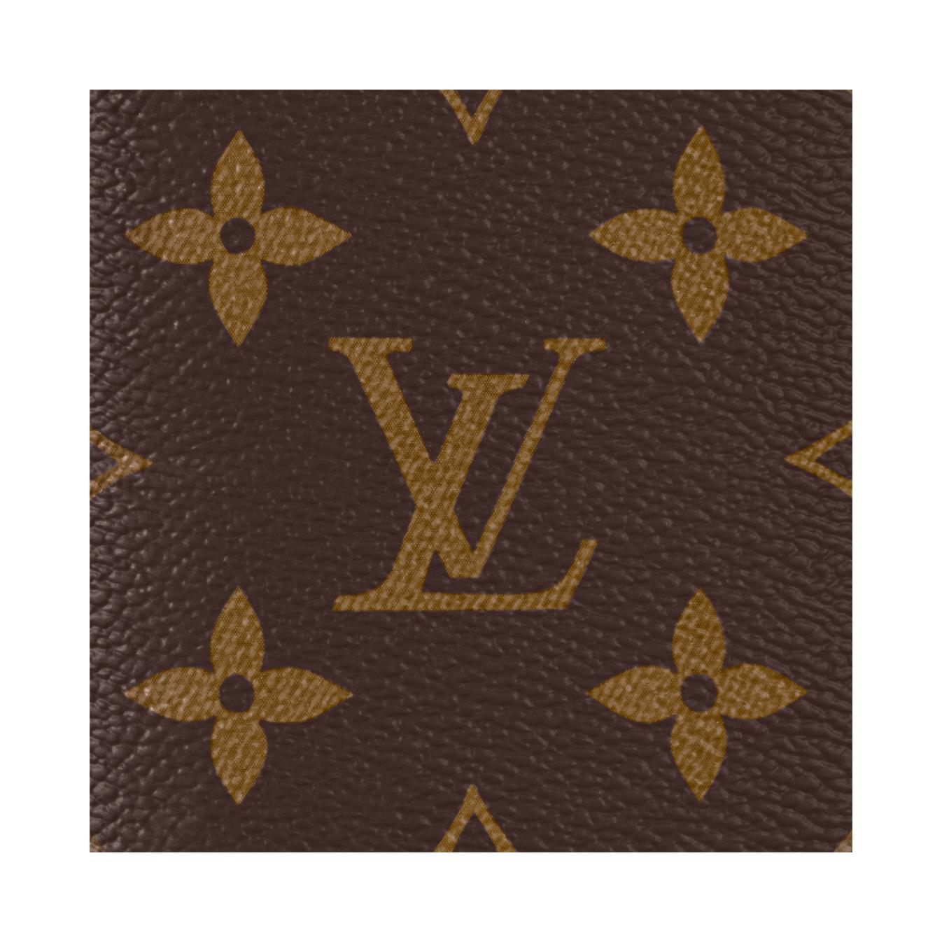 Сумка Louis Vuitton LOUIS VUITTON Pocket Organizer (коричневый) — фото 5
