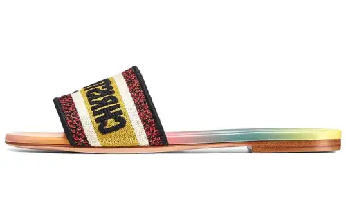 DIOR Dway Embroidery Slide Slippers Women's Multicolor