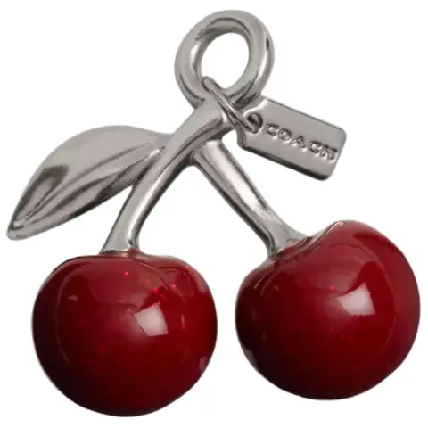 COACH Sneaker Accessories Unisex
