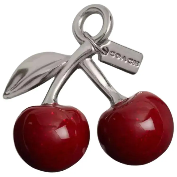 COACH Sneaker Accessories Unisex