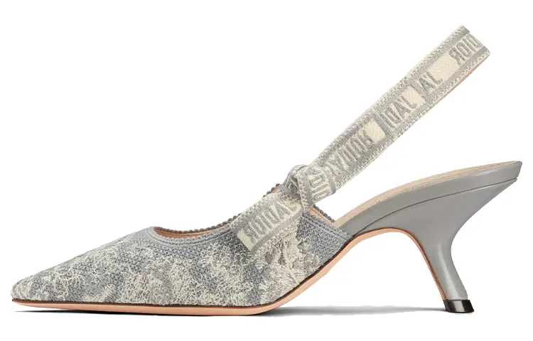 DIOR J'Adior Slim Heel High Heels Women's Gray