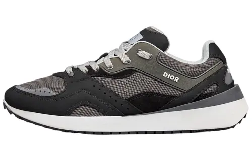 DIOR B29 Grey Black White