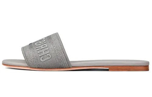 DIOR Dway Slide Slippers Women's Silver