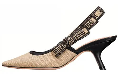 DIOR J'Adior Slim Heel High Heels 6.5cm Women's Brown