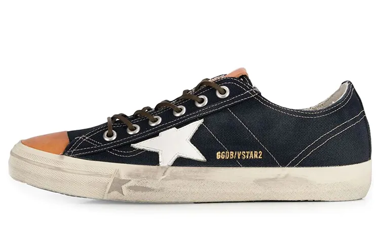 Golden Goose V Star 2 Low top Canvas Shoes Men's Black