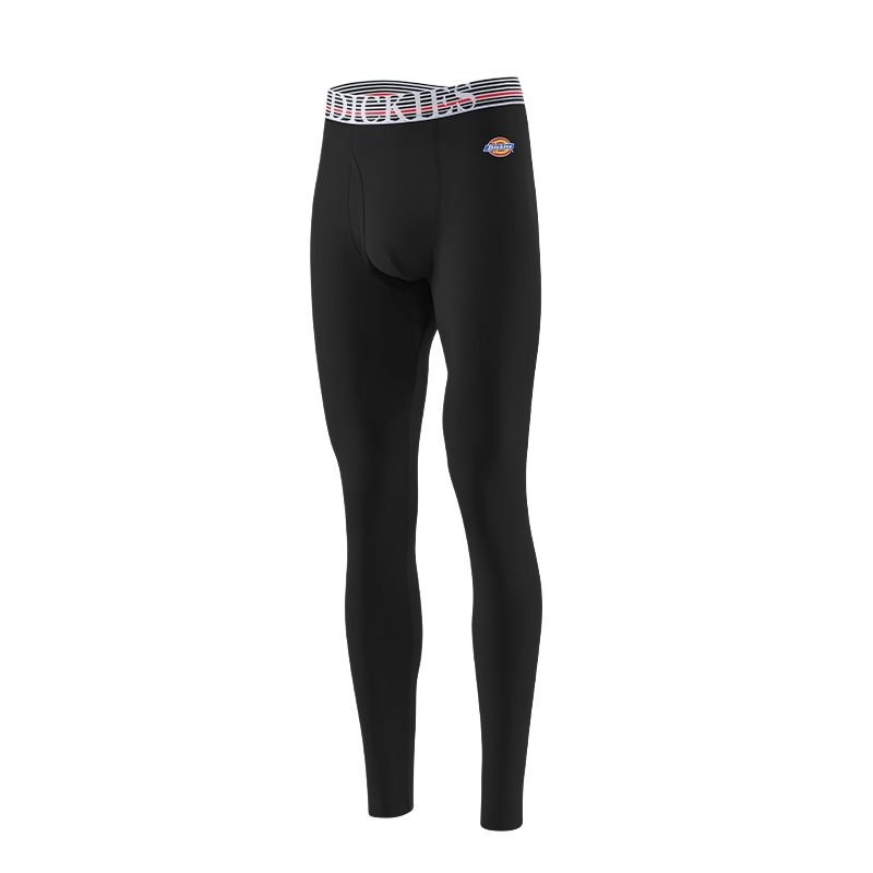 Мужские штаны Dickies Dickies (разноцветный)