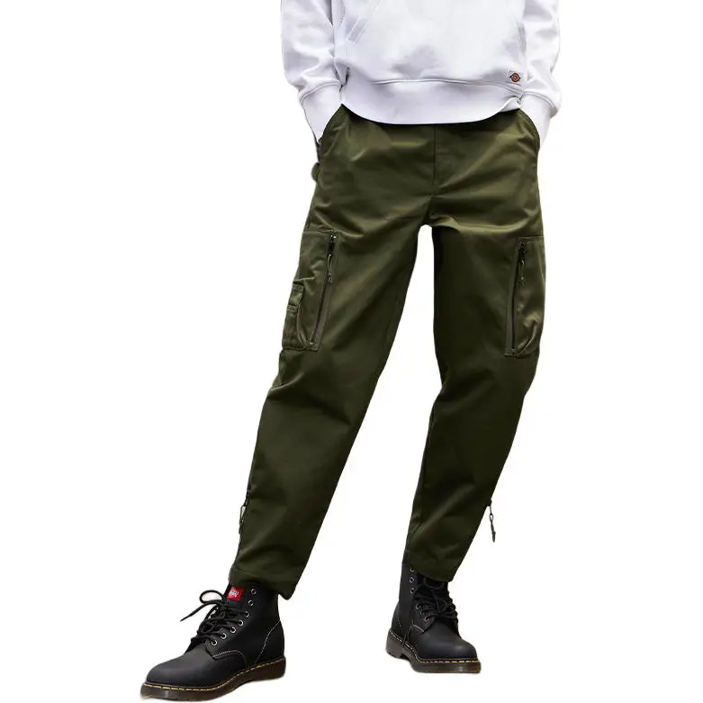 Dickies Cargo Pants Men's Moderate