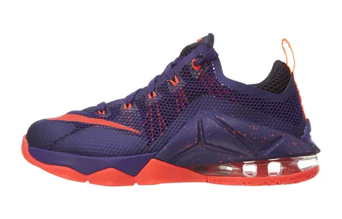 Nike Lebron 12 Low top Basketball Shoes Purple Unisex