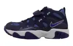 Nike Air Turf Raider Purple Dynasty GS