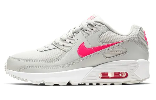 Nike Buy Air Max 90 'Photon Dust Digital Pink' GS