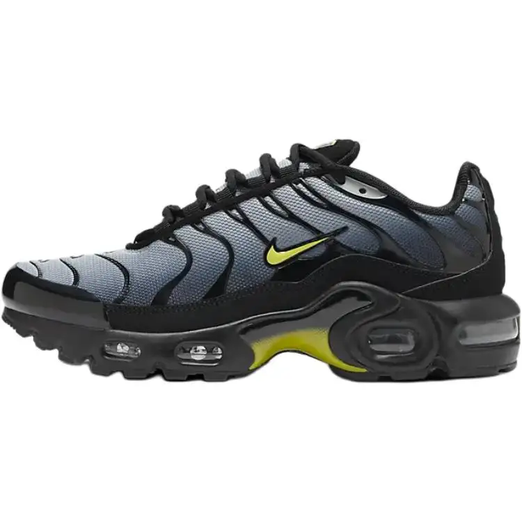Nike Air Max Plus Low top Running Shoes Black Gray Unisex