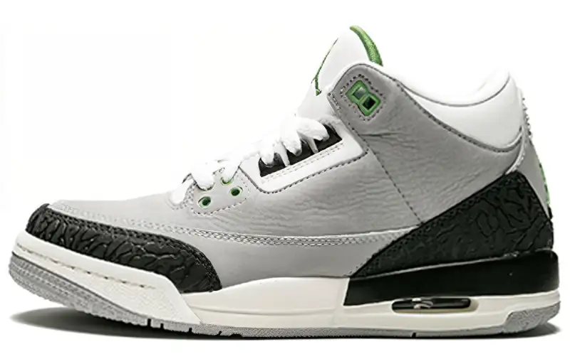 Jordan 3 Retro Chlorophyll GS