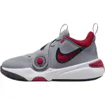 Nike Team Hustle D 11 Low top Basketball Shoes Gray Unisex