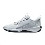 Nike Omni Multi Court Gauze Low top Casual Shoes Silver Unisex