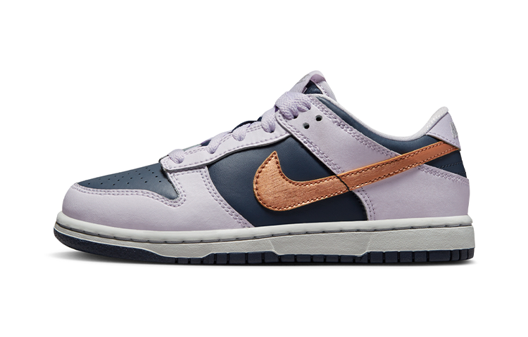 Детские кроссовки Nike Dunk SE (сине-пурпурные)