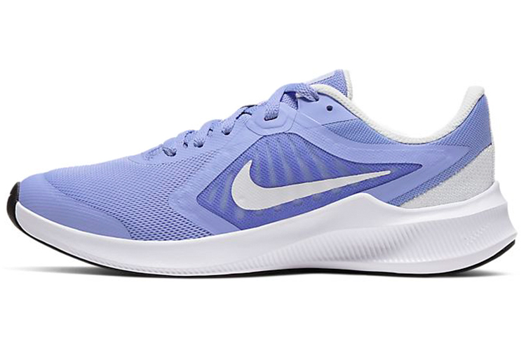 Кроссовки Nike Downshifter 10 (сине-белые)