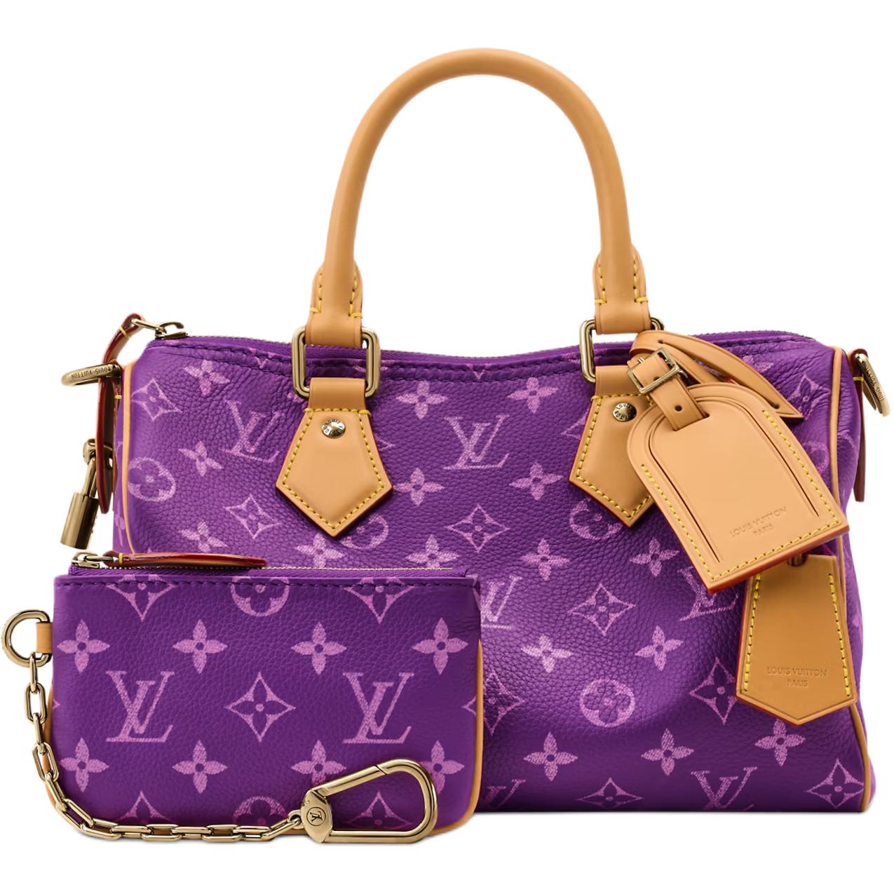 Мужская сумка Louis Vuitton Speedy P9 (монограмм) — фото 2