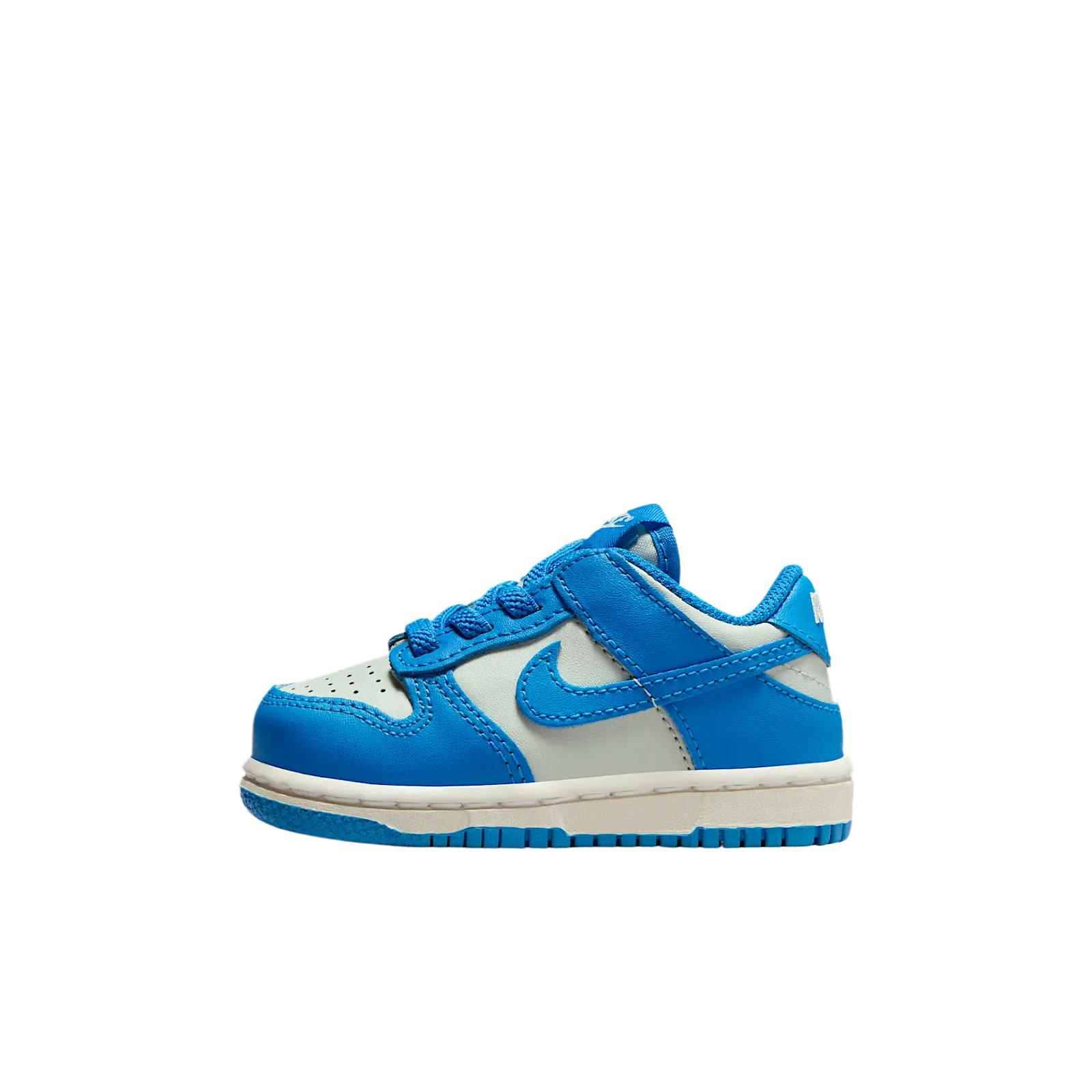 Кроссовки Nike Nike Dunk Low (синие)