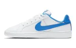 Nike Buty Synthetic Leather Slip Resistant Abrasion Resistant Low top Skateboard Shoes White Blue Unisex