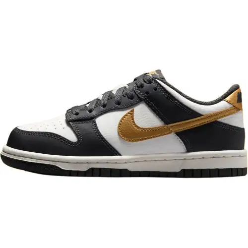 Nike Dunk Low top Skateboard Shoes Black White Unisex