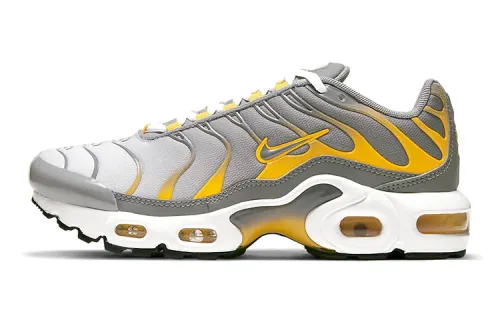 Nike Air Max Plus Particle Grey GS